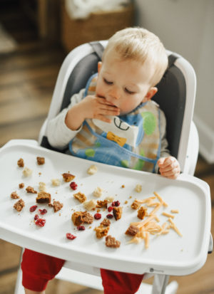 Meal Ideas for your Toddler